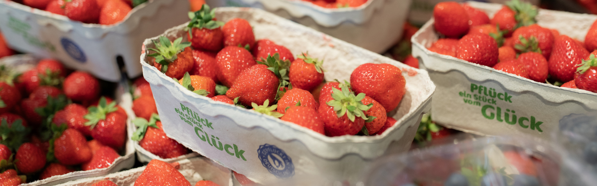 Erdbeeren